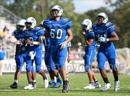 Thumbnail 3 in Klein @ Dekaney photogallery.
