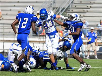 Thumbnail 2 in Klein @ Dekaney photogallery.