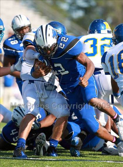 Thumbnail 1 in Klein @ Dekaney photogallery.