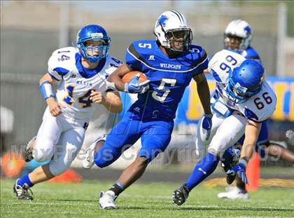 Thumbnail 3 in Klein @ Dekaney photogallery.