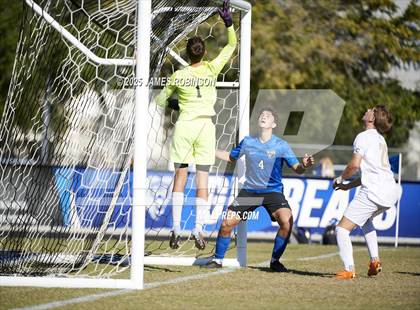 Thumbnail 3 in Arnold @ Bartram Trail photogallery.