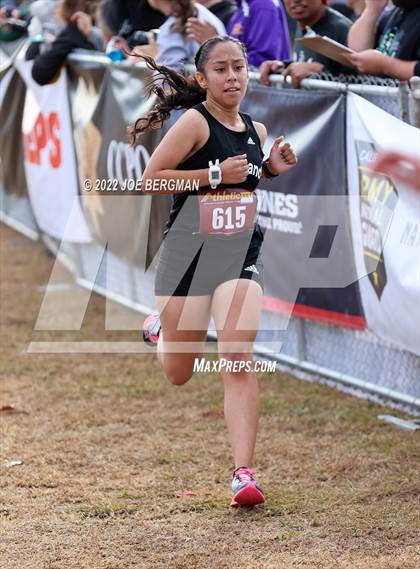 Thumbnail 3 in CIF Central Section Cross Country Championships (Girls D3 Race) photogallery.
