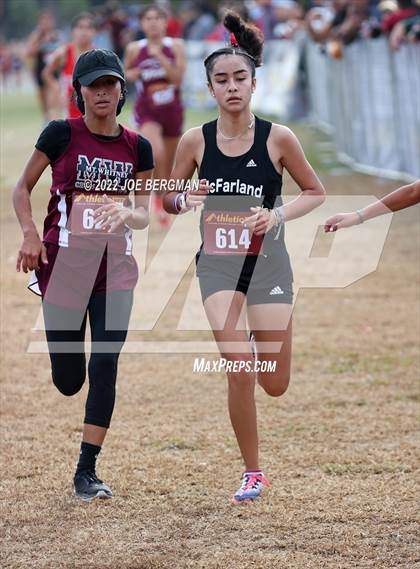 Thumbnail 2 in CIF Central Section Cross Country Championships (Girls D3 Race) photogallery.