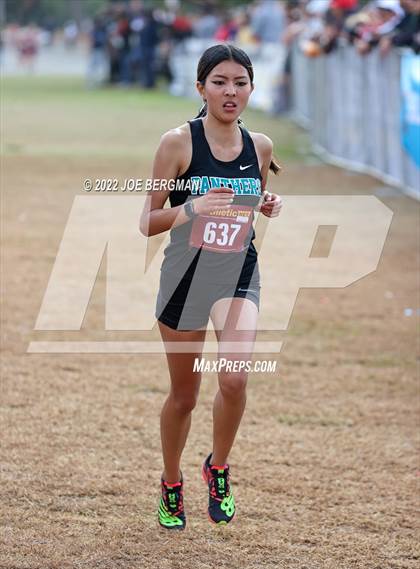 Thumbnail 2 in CIF Central Section Cross Country Championships (Girls D3 Race) photogallery.