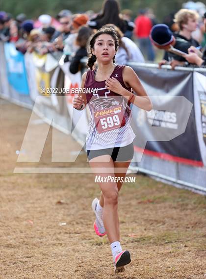 Thumbnail 2 in CIF Central Section Cross Country Championships (Girls D3 Race) photogallery.