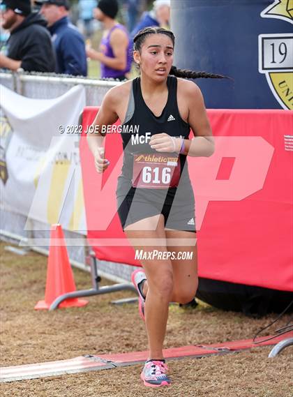 Thumbnail 3 in CIF Central Section Cross Country Championships (Girls D3 Race) photogallery.