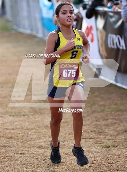 Thumbnail 2 in CIF Central Section Cross Country Championships (Girls D3 Race) photogallery.