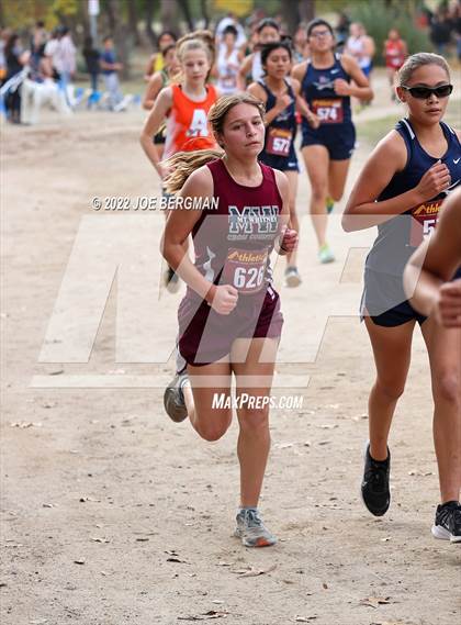 Thumbnail 2 in CIF Central Section Cross Country Championships (Girls D3 Race) photogallery.