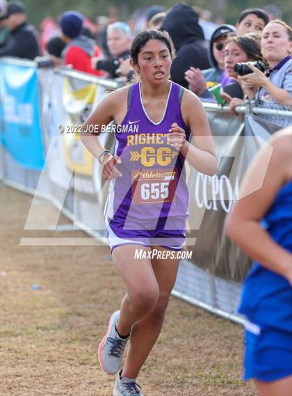 Thumbnail 2 in CIF Central Section Cross Country Championships (Girls D3 Race) photogallery.
