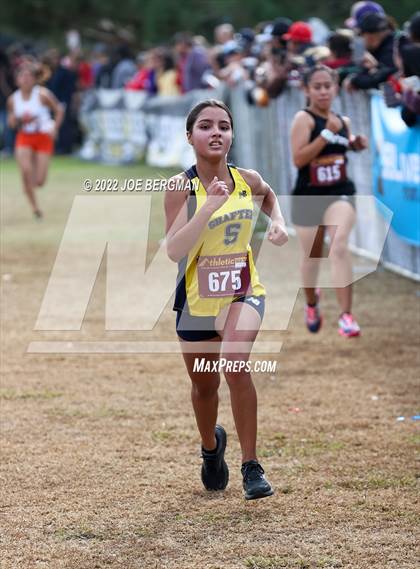 Thumbnail 1 in CIF Central Section Cross Country Championships (Girls D3 Race) photogallery.