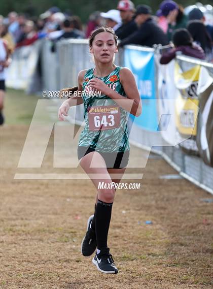 Thumbnail 3 in CIF Central Section Cross Country Championships (Girls D3 Race) photogallery.