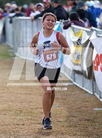 Thumbnail 1 in CIF Central Section Cross Country Championships (Girls D3 Race) photogallery.