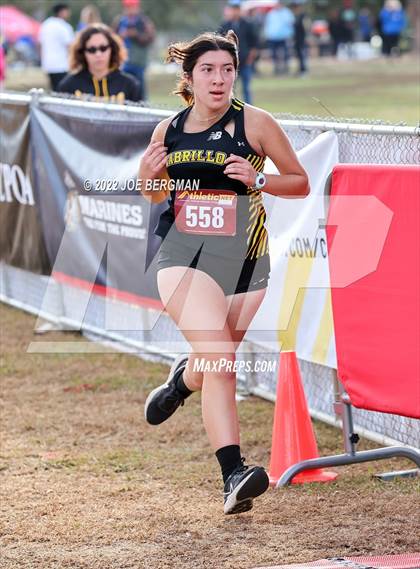 Thumbnail 2 in CIF Central Section Cross Country Championships (Girls D3 Race) photogallery.