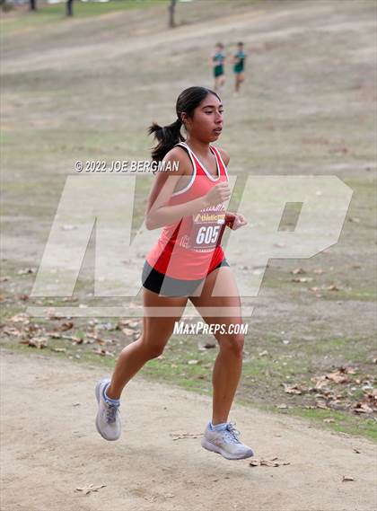 Thumbnail 3 in CIF Central Section Cross Country Championships (Girls D3 Race) photogallery.