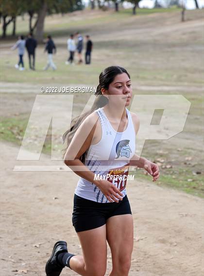 Thumbnail 3 in CIF Central Section Cross Country Championships (Girls D3 Race) photogallery.