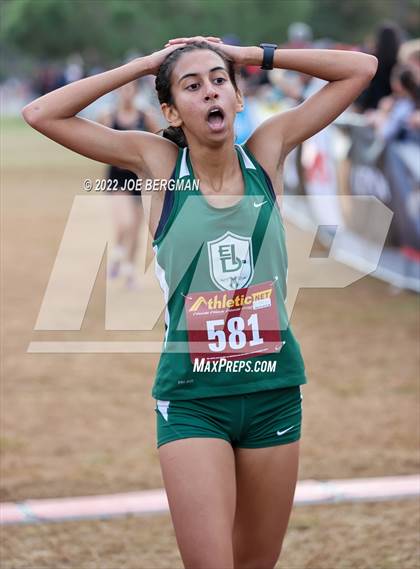 Thumbnail 1 in CIF Central Section Cross Country Championships (Girls D3 Race) photogallery.