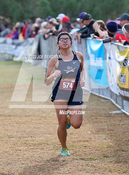 Thumbnail 2 in CIF Central Section Cross Country Championships (Girls D3 Race) photogallery.