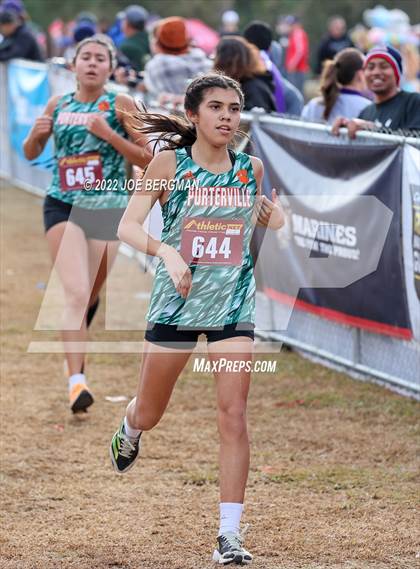 Thumbnail 3 in CIF Central Section Cross Country Championships (Girls D3 Race) photogallery.