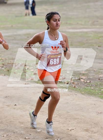 Thumbnail 3 in CIF Central Section Cross Country Championships (Girls D3 Race) photogallery.