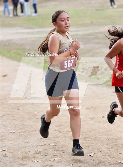 Thumbnail 2 in CIF Central Section Cross Country Championships (Girls D3 Race) photogallery.
