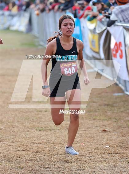Thumbnail 3 in CIF Central Section Cross Country Championships (Girls D3 Race) photogallery.