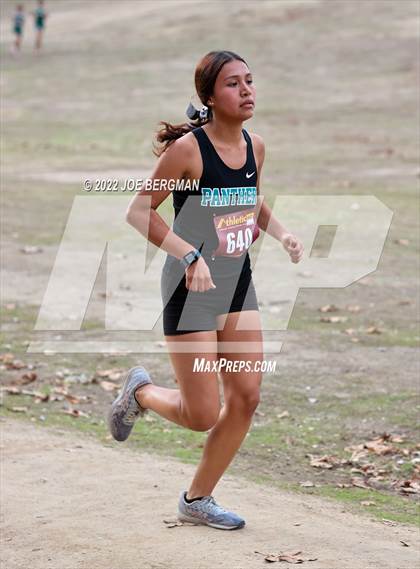 Thumbnail 1 in CIF Central Section Cross Country Championships (Girls D3 Race) photogallery.