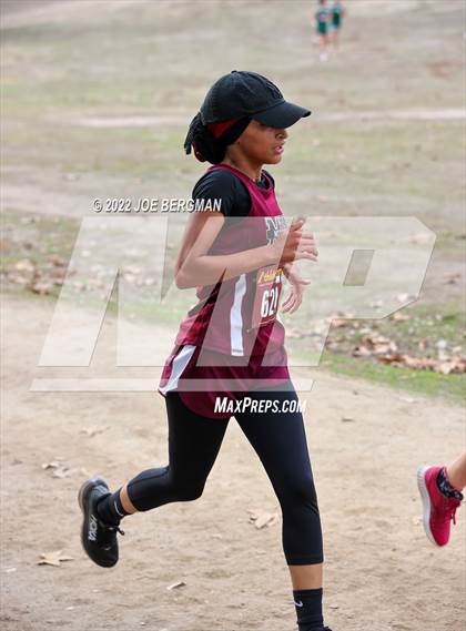 Thumbnail 2 in CIF Central Section Cross Country Championships (Girls D3 Race) photogallery.