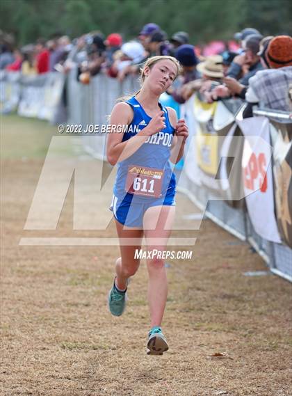 Thumbnail 1 in CIF Central Section Cross Country Championships (Girls D3 Race) photogallery.