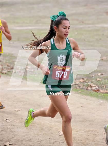 Thumbnail 1 in CIF Central Section Cross Country Championships (Girls D3 Race) photogallery.