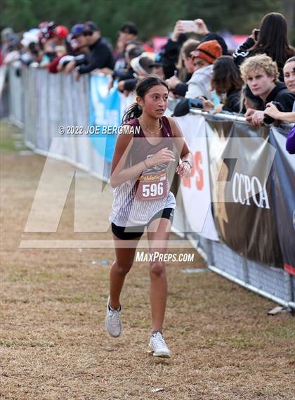 Thumbnail 3 in CIF Central Section Cross Country Championships (Girls D3 Race) photogallery.