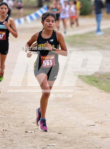 Thumbnail 3 in CIF Central Section Cross Country Championships (Girls D3 Race) photogallery.