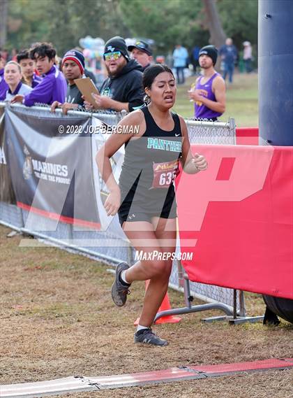 Thumbnail 1 in CIF Central Section Cross Country Championships (Girls D3 Race) photogallery.