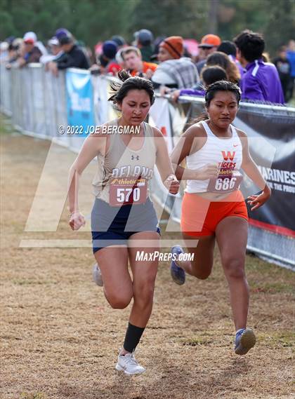 Thumbnail 2 in CIF Central Section Cross Country Championships (Girls D3 Race) photogallery.