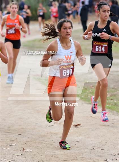 Thumbnail 1 in CIF Central Section Cross Country Championships (Girls D3 Race) photogallery.