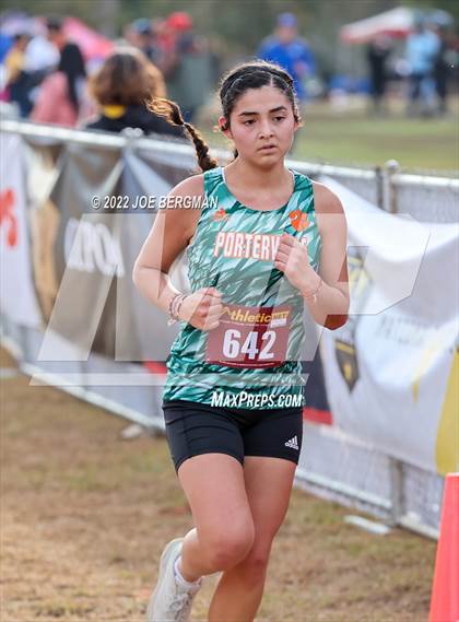 Thumbnail 2 in CIF Central Section Cross Country Championships (Girls D3 Race) photogallery.