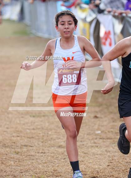 Thumbnail 1 in CIF Central Section Cross Country Championships (Girls D3 Race) photogallery.