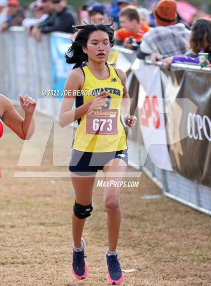 Thumbnail 1 in CIF Central Section Cross Country Championships (Girls D3 Race) photogallery.