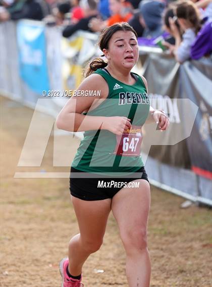 Thumbnail 1 in CIF Central Section Cross Country Championships (Girls D3 Race) photogallery.