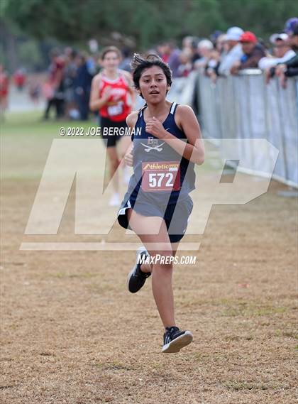 Thumbnail 3 in CIF Central Section Cross Country Championships (Girls D3 Race) photogallery.