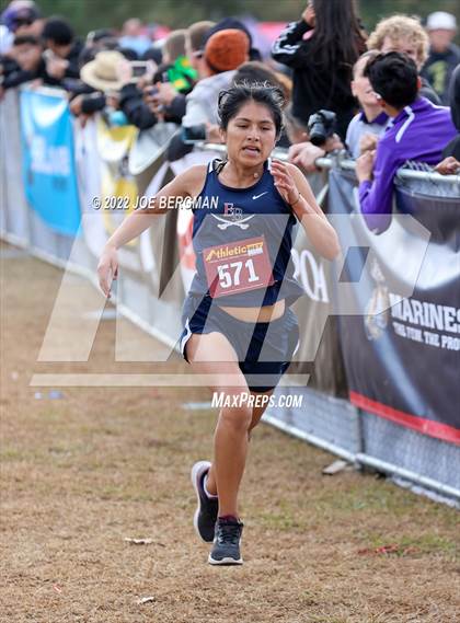 Thumbnail 1 in CIF Central Section Cross Country Championships (Girls D3 Race) photogallery.