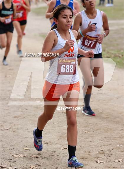 Thumbnail 1 in CIF Central Section Cross Country Championships (Girls D3 Race) photogallery.