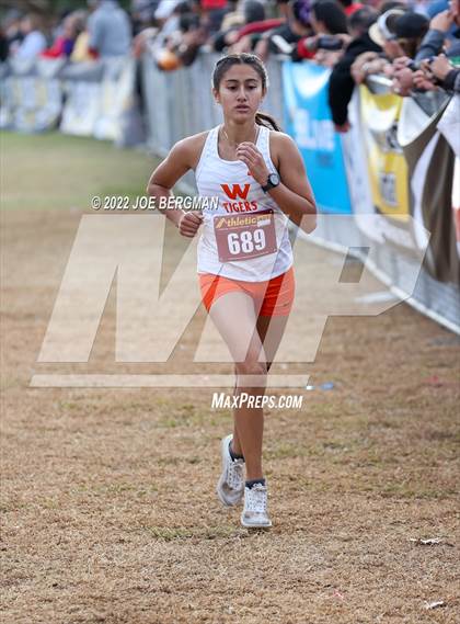Thumbnail 1 in CIF Central Section Cross Country Championships (Girls D3 Race) photogallery.