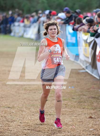 Thumbnail 3 in CIF Central Section Cross Country Championships (Girls D3 Race) photogallery.