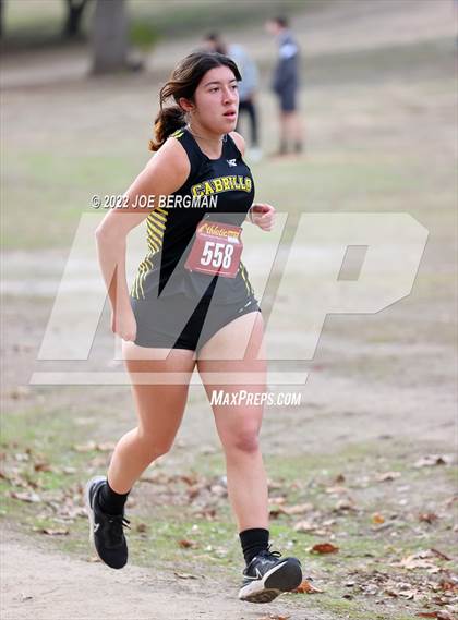 Thumbnail 1 in CIF Central Section Cross Country Championships (Girls D3 Race) photogallery.