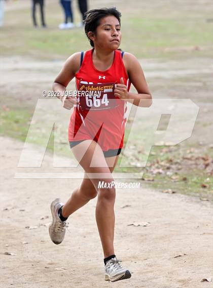 Thumbnail 1 in CIF Central Section Cross Country Championships (Girls D3 Race) photogallery.