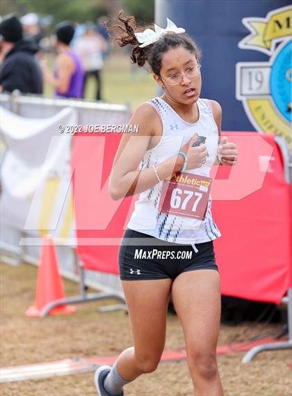 Thumbnail 3 in CIF Central Section Cross Country Championships (Girls D3 Race) photogallery.