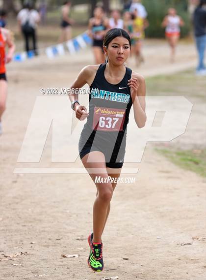 Thumbnail 1 in CIF Central Section Cross Country Championships (Girls D3 Race) photogallery.