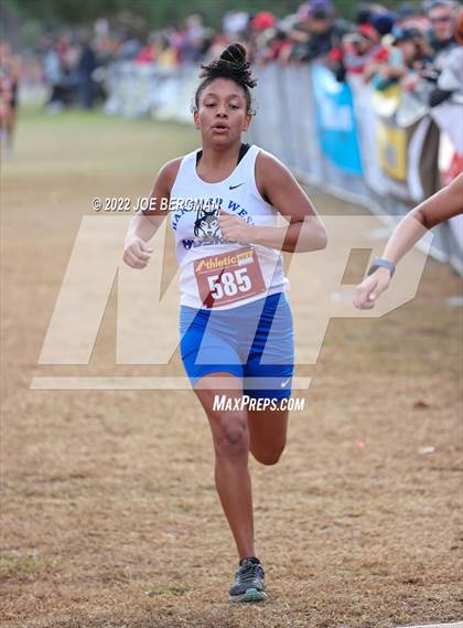 Thumbnail 1 in CIF Central Section Cross Country Championships (Girls D3 Race) photogallery.