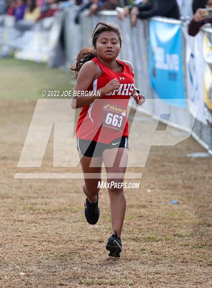 Thumbnail 2 in CIF Central Section Cross Country Championships (Girls D3 Race) photogallery.