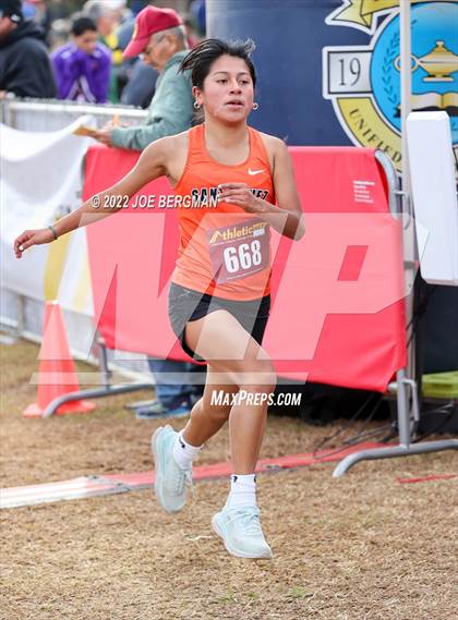Thumbnail 3 in CIF Central Section Cross Country Championships (Girls D3 Race) photogallery.